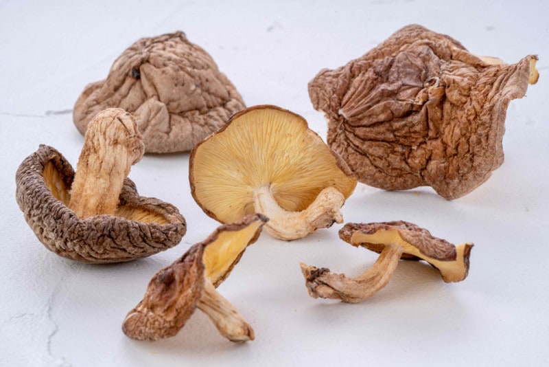 ���̾夷��������ʤफ��Į�ˡ۴��縶�ڤ��������ʴ��ա�