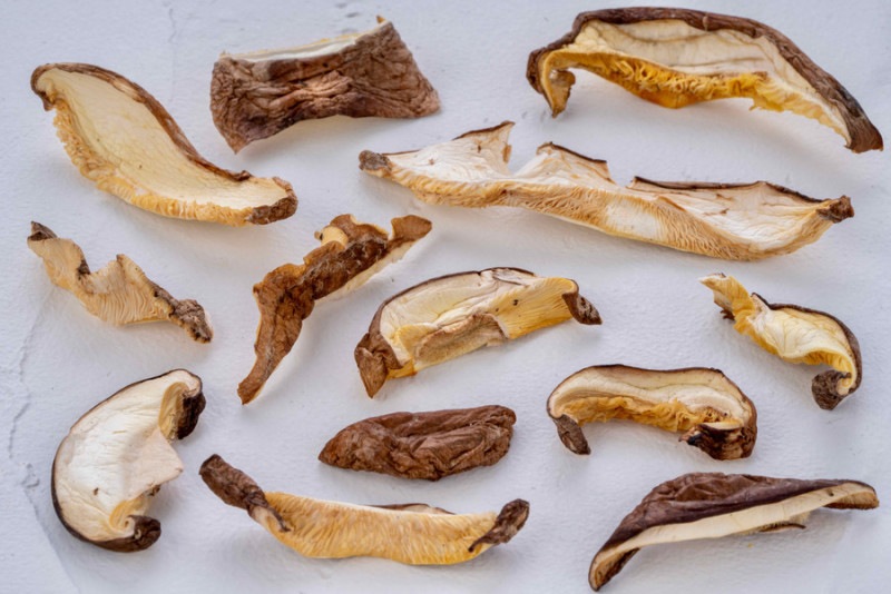 ���̾夷��������ʤफ��Į�ˡ۴��縶�ڤ��������ʥ��饤����