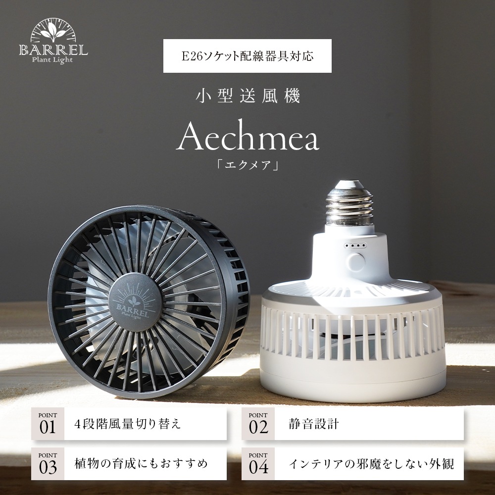 Aechmea 植物用ファン｜ピクタ公式通販