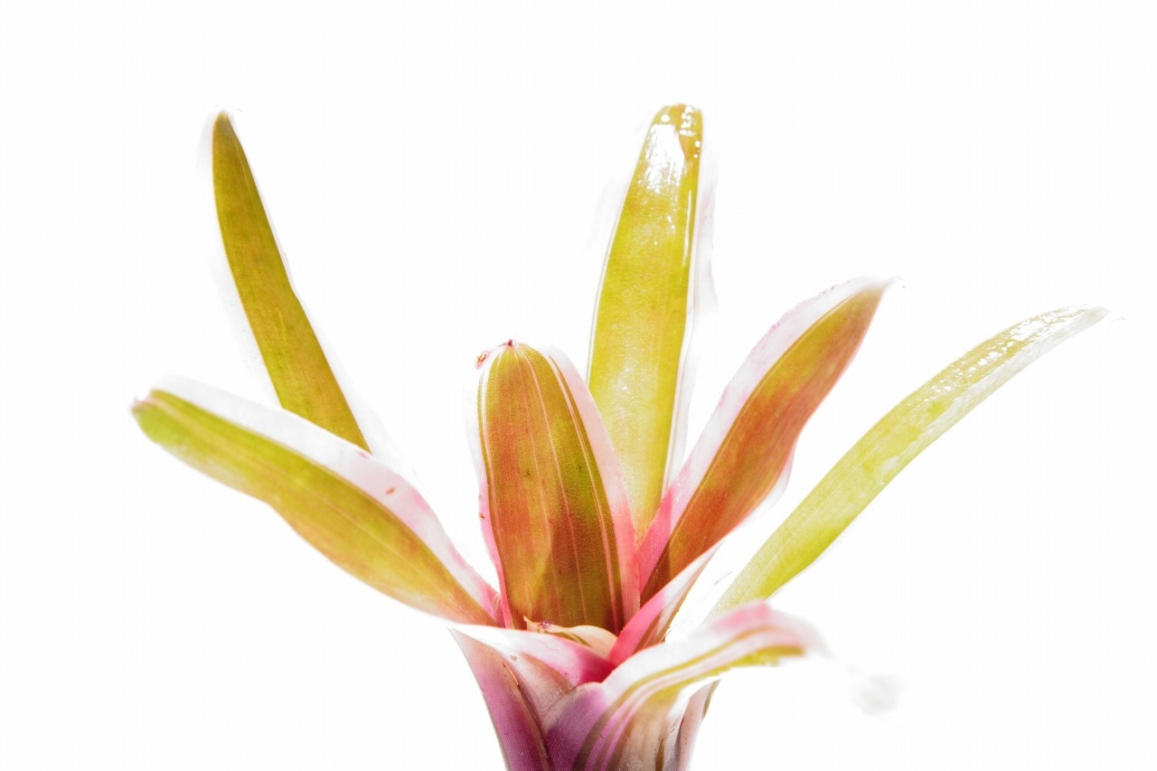 1_000000000027.jpg?1684829805