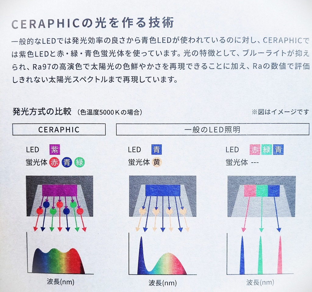 CERAPHIC いきもの電球｜ピクタ公式通販