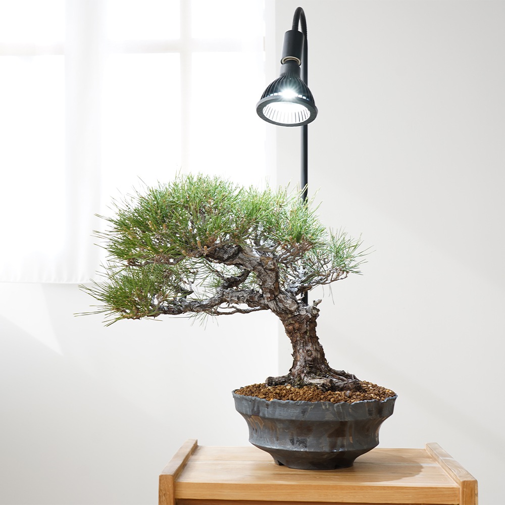 NEO AMATERAS 20W 植物育成用LED｜ピクタ公式通販