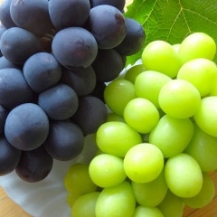 ���ꥹ�ڥ���륻�åȡʥ��㥤��ޥ����å�2˼���ԥ�����2˼�ͤ��碌�� 3kg�ʶ˾���˼4˼��