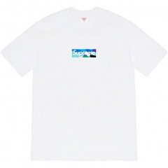 SUPREME EMILIO PUCCI BOX LOGO TEE WHITE/BLUE