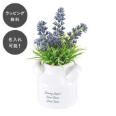 【7営業日以内に出荷】名入れ 造花 人工観葉植物 フェイクグリーン CT触媒グリーン ラベンダー|フラワーギフト / お花の贈り物|名入れギフト