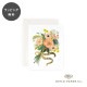 饤եڡѡ  ֥饤ɥ֡ Rifle Paper Co. 饹 å