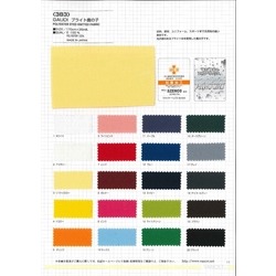 383 GAUDI ブライト鹿の子　SEK　制菌　吸水速乾