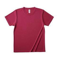 FDT-100-29-BUR ﾌｧﾝｸｼｮﾅﾙﾄﾞﾗｲTｼｬﾂ-ﾊﾞｰｶﾞﾝﾃﾞｨｰ