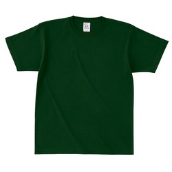 OE1116-FRS ﾏｯｸｽｳｴｲﾄTｼｬﾂ-FRS-ﾌｫﾚｽﾄｸﾞﾘｰﾝ | フェリック