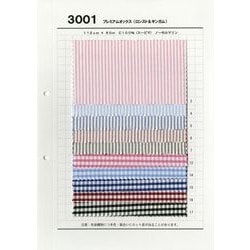 3001 プレミアムオックス（ST&ｷﾞﾝｶﾞﾑ）