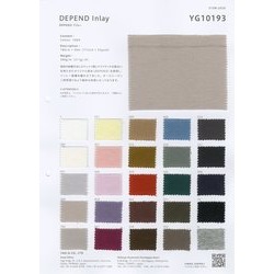 YG10193 DEPENDｲﾝﾚｰ