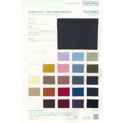 YG75005 72/Tｵｰｶﾞﾆｯｸｺﾝﾊﾟｸﾄ微強撚ﾌﾗｲｽ