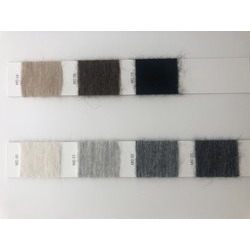 301165000 MODEST (ﾓﾃﾞｽﾄ)  1/16 [メーターカット]