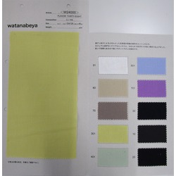 W24000 FLAVOR38　コットンビエラ