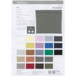 YG10207 50/2 GIZAndy ﾃﾚｺ