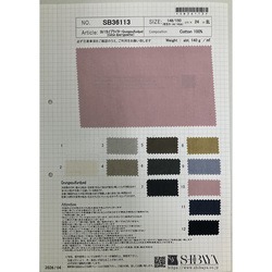 SB36113 50/1タイプライターＧrungeSulfurdyed