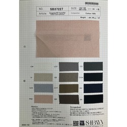 SB37227 Ｇrungedyed70/1typewriter