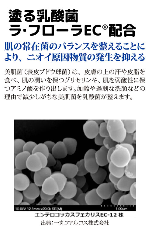 ���ȥ�߹��ζ��ʽ� �ܥǥ����ե��֥�å��ߥ��ȡ���󥺡���˥��å��� 50ml