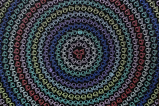 �������ա��ڥ����˥� ���ͼ��� ��Ŵ�ӥ��ȥ� Rainbow��