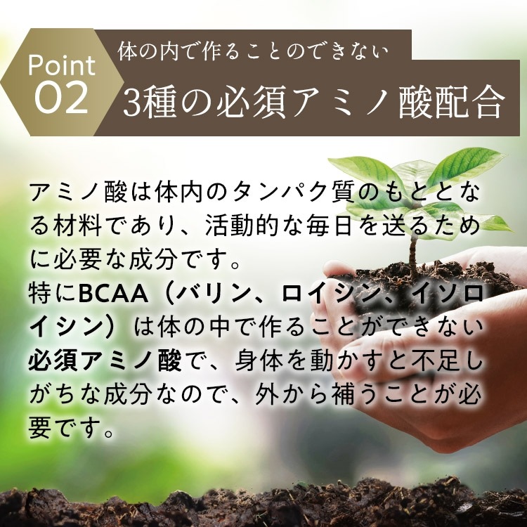 【1週間お試し】　健助玉（けんすけだま）2粒×7袋