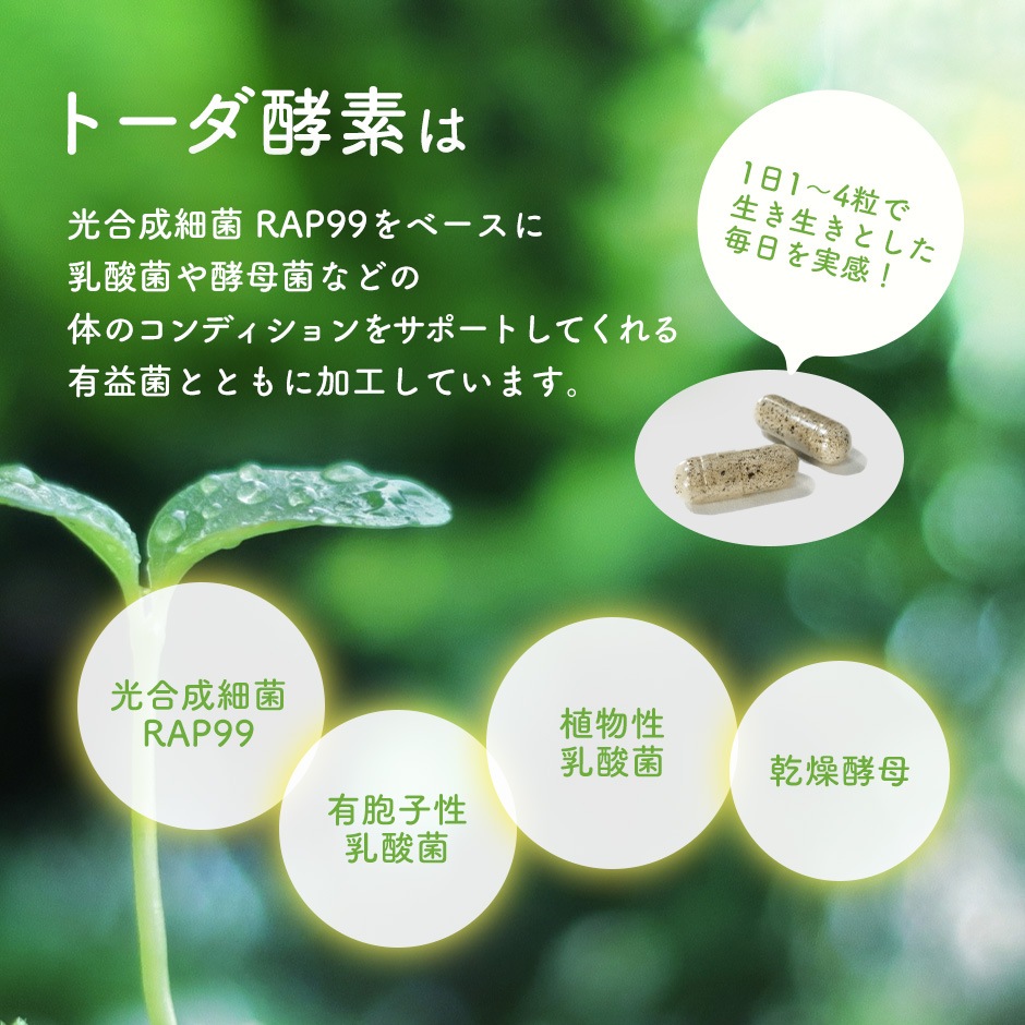 【3日分お試し】トーダ酵素　2粒×3袋