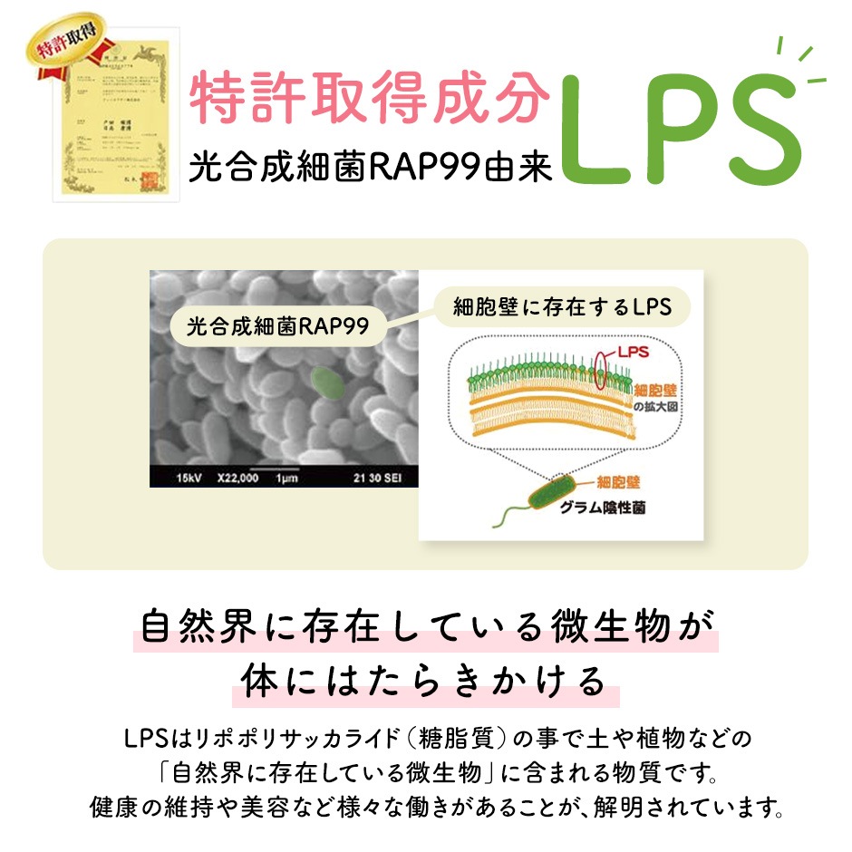 トーダ酵素　6個セット