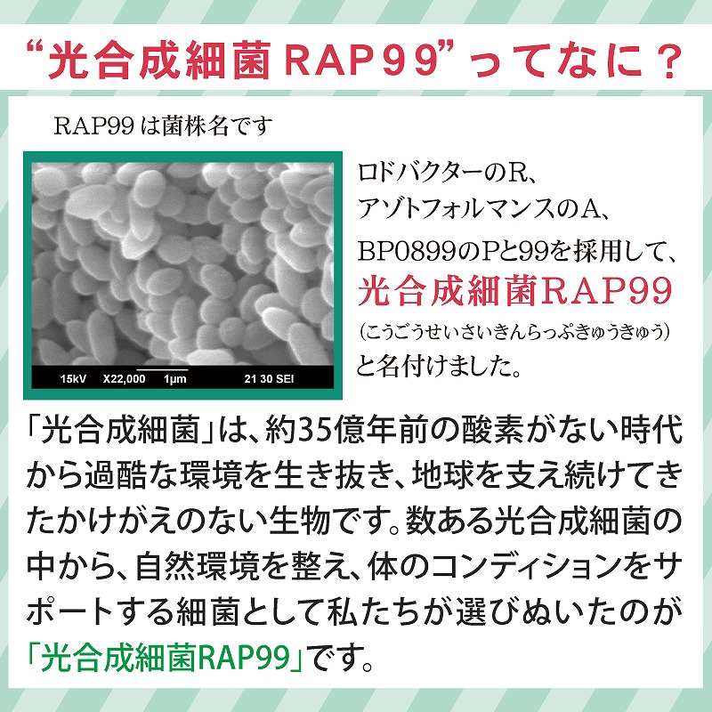 TFK(テイエフケー)100粒入 6個セット