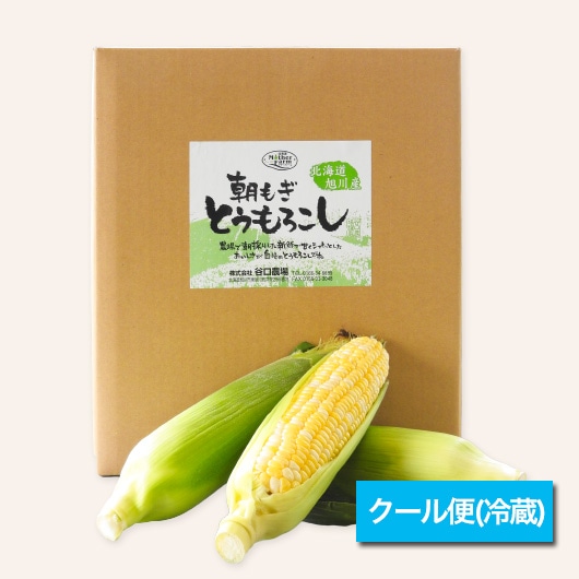 もぎたて とうもろこし 10kg | とうもろこし ◇受付中！ | 谷口