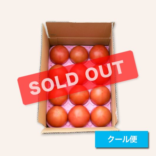 有機栽培トマト 2kg | 有機栽培トマト - SOLD OUT - | 谷口農場ネット