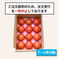 ͭ�����ݥȥޥȡ�2kg