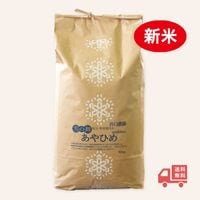 �ڿ��ơ����̺����� ����Ҥᡡ10kg