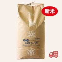�ڿ��ơ����̺����� ���ܤ��Ť���10kg