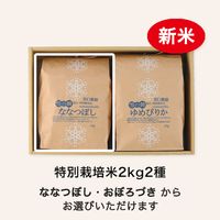 �ڿ��ơ����̺����� 2kg2��ͤ�礻