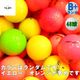 ������̵���� �ۥ�� ���꡼�� �ڥ��顼�� ��48��� ��B+��󥯡� D1 A1 D1�̎ߎ׎� ���ˎߎ��Ďގӎݎ������������ȥܡ��� ����եܡ��� ����š�