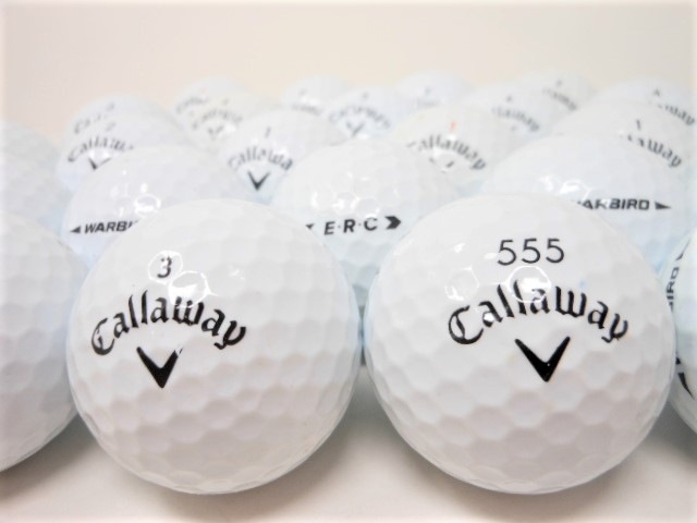 ������̵�� �ۥ���������� ���ꡡ�ڥۥ磻�ȡ� ��48��� ��B��󥯡� �����ȥܡ��� ����եܡ��� ����š�