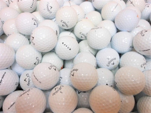 ������̵�� �ۥ���������� ���ꡡ�ڥۥ磻�ȡ� ��48��� ��B��󥯡� �����ȥܡ��� ����եܡ��� ����š�