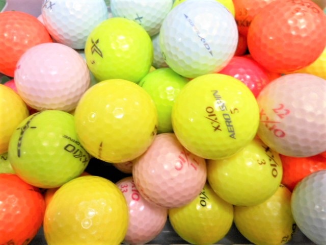 ������̵�� �� �������� ���顼�ܡ��� ��24��� ��B��󥯡� XXIO �����ȥܡ��� ����եܡ��� ����š�