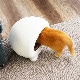 冷温ヒーター付きペットハウス「アニマルカプセルホテル」