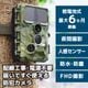 置くだけ簡単「トレイル防犯カメラ」