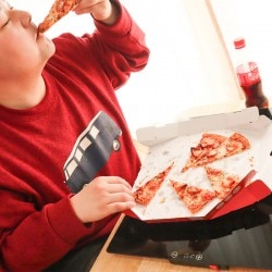 Lサイズピザにも対応！「フードウォーマープレート」　※新モデル展開予定