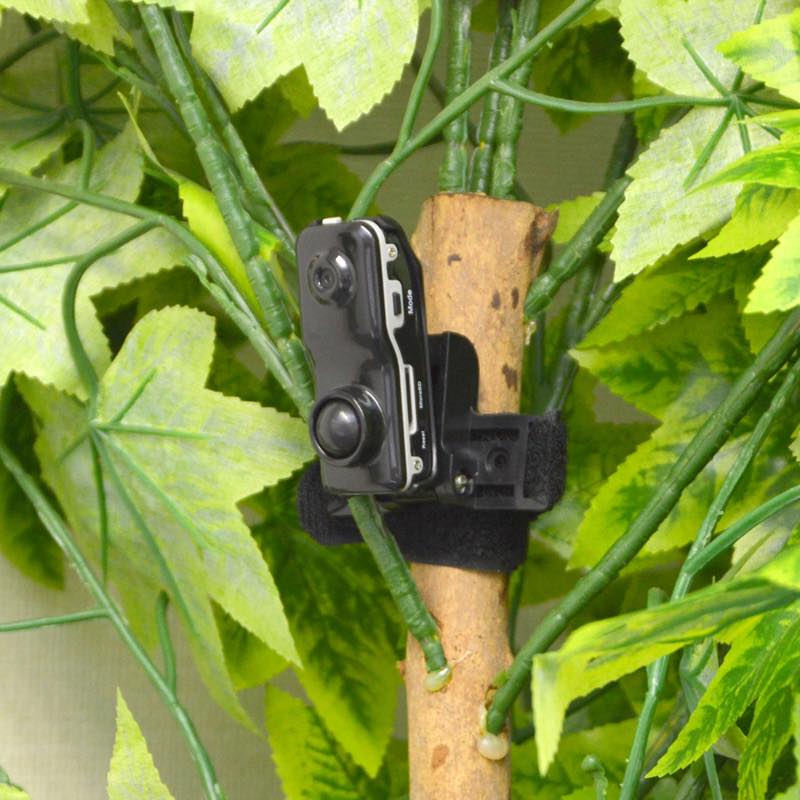 人感センサー小型自動録画監視カメラ 公式 サンコー通販オンラインショップ