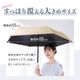 【好評により今季販売分完売です】ファンが入った涼しい日傘「ファンブレラ POLE」