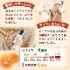 つま先まるっとあったか着るこたつ「こたんぽ」