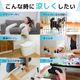 冷たい風が出る「USBスポットアイスファン」グレー