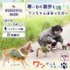 愛犬用ヒーターベスト「ワンだふるウォーム」