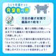 【コミケ応援】いいのが撮れる!?カメコ快適装備セット