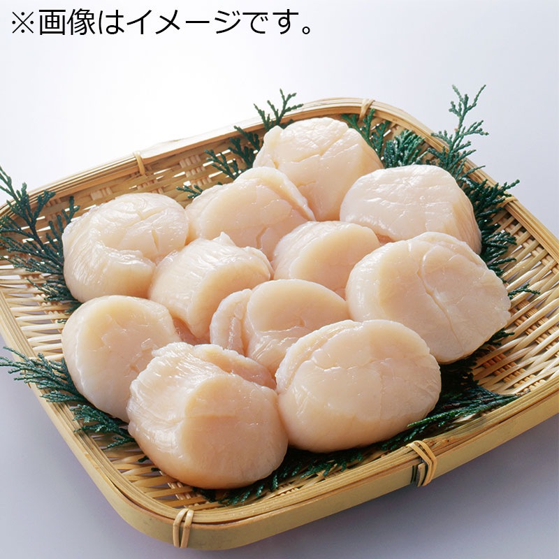 剥きホタテパック500g｜ありがとねっと｜千葉県特産物ネットショップ