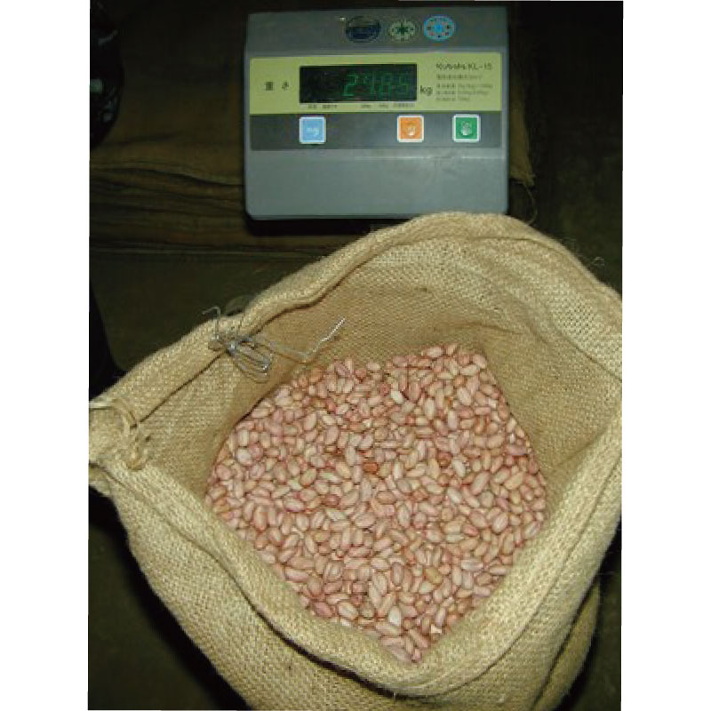 1112円 最大59%OFFクーポン 手むき味付落花生 150g×10袋 1112円 最大59%OFFクーポン 手むき味付落花生 150g×10袋