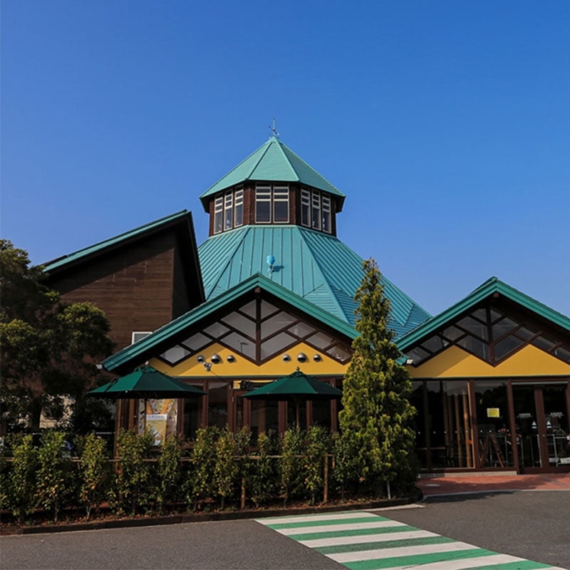 株式会社ちば南房総（南房総アンテナショップ）