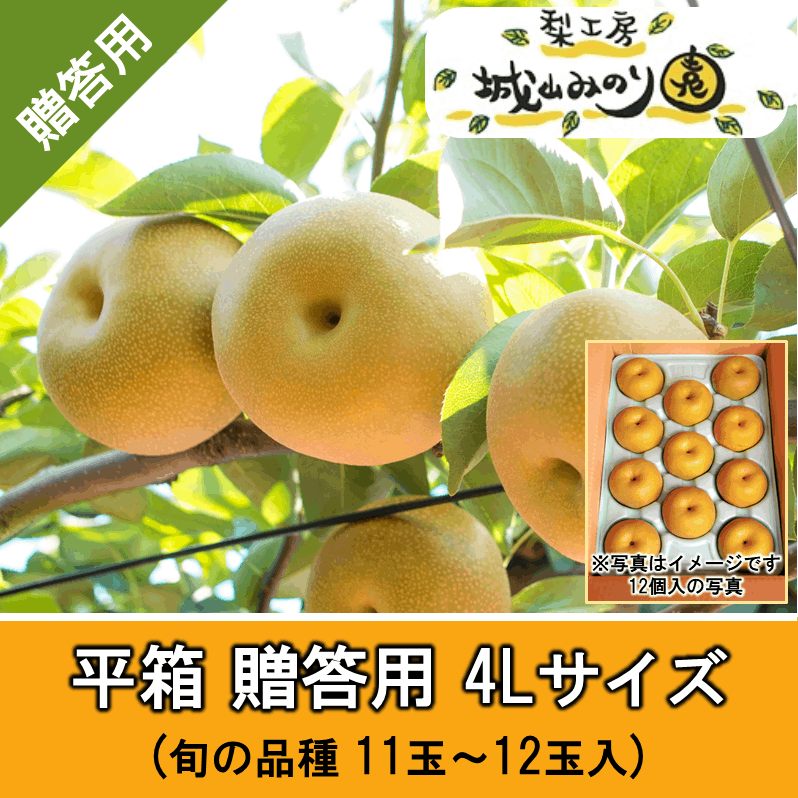 専用出品　Yukiちゃん様　木熟3Lサイズ ５kg 梨 幸水 なし 鈴木さんちの 完熟 幸水梨 (秀) L以上～6L 5kg箱